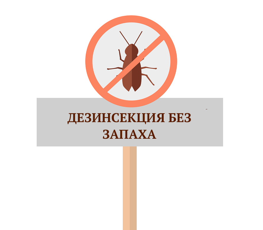 Дезинсекция без запаха